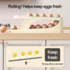 sg-11134201-7rdxj-mdbjwdg1od8g39 2-Tier Automatic Rolling Egg Tray
