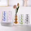 Modern Nordic Style Double-Layer Glass Vase - a Colorful And Creative Design